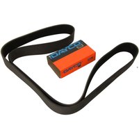 Keilrippenriemen DAYCO 12PK1835HD Keilrippenriemen DAYCO 12PK1835HD von Dayco