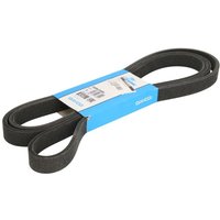 Keilrippenriemen DAYCO 7DPK2569 Keilrippenriemen DAYCO 7DPK2569 von Dayco