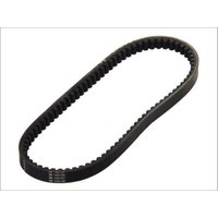Treibriemen DAYCO 8150K von Dayco