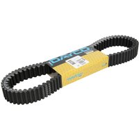 Treibriemen DAYCO DAY8191K Treibriemen DAYCO DAY8191K von Dayco