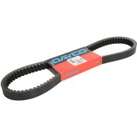 Treibriemen DAYCO DAY8202K Treibriemen DAYCO DAY8202K von Dayco