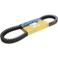 Treibriemen DAYCO DAY8203K Treibriemen DAYCO DAY8203K von Dayco