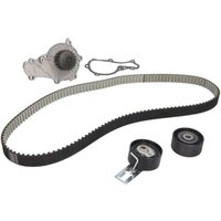 Wasserpumpe + Zahnriemensatz DAYCO KTBWP9590 Wasserpumpe + Zahnriemensatz DAYCO KTBWP9590 von Dayco
