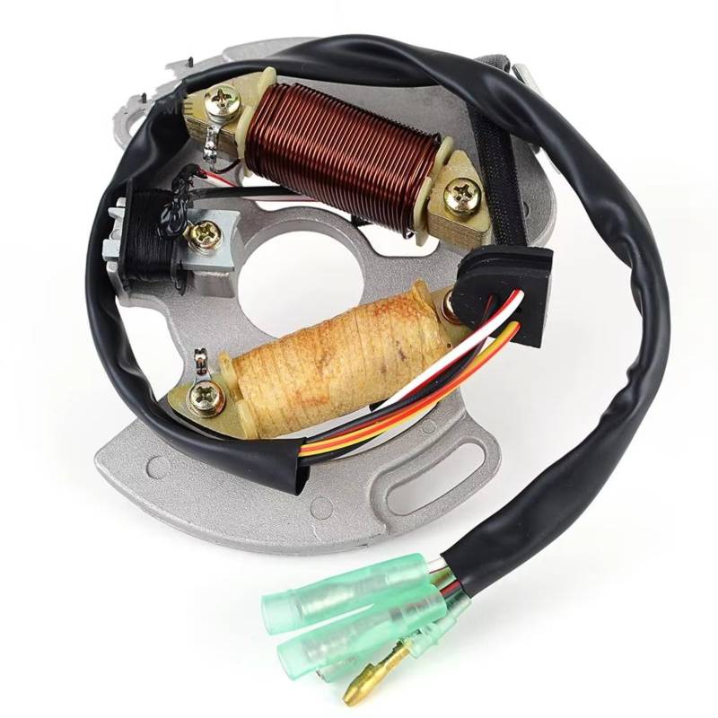 DAYOTIE Kompatibel Mit Yamaha Für YFS200 Blaster Für YFS200 1988-2002 3JM-85560-00 Motorrad Zündung Magneto Stator Spule Motor Teile Generator Spule Motorrad-Statorspule von DAYOTIE