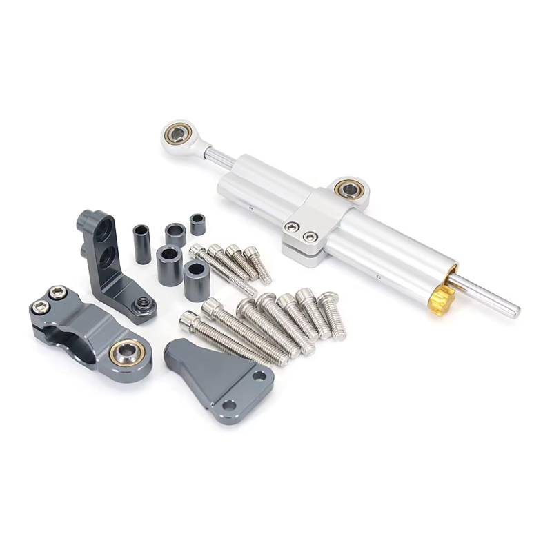 DAYOTIE Lenkungsdämpfer Kompatibel Mit Aprilia Für RS660 2021 2022 2023 Motorrad Lenkungsdämpfer Stabilisator Lenker Stabilisator Halterungssatz Teile(Silver-Gray) von DAYOTIE
