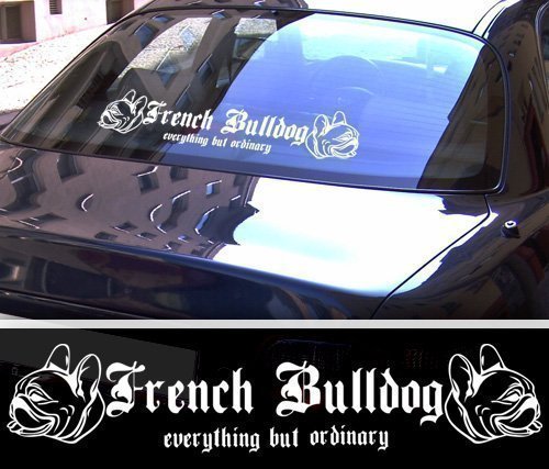 DBSPNCR French Bulldog XXL Aufkleber - Französische Bulldogge - schwarz oder weiß NEU (weiß außenklebend) von DBSPNCR
