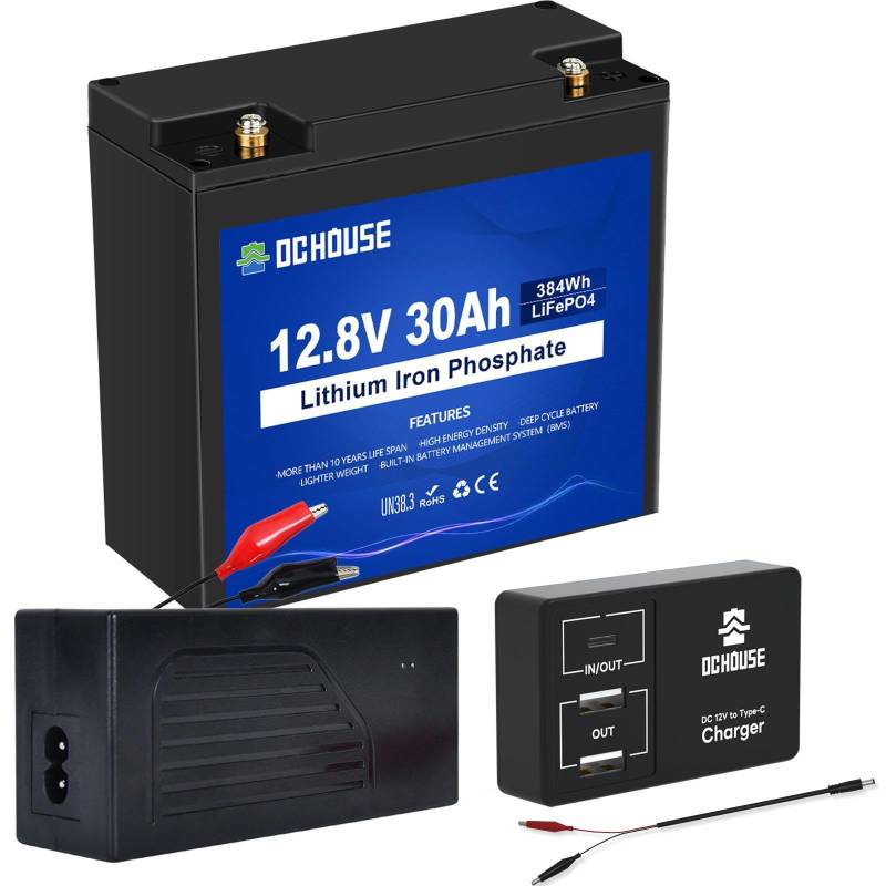 DCHOUSE 12V 30Ah LiFePO4 Lithium Batterie mit DC 12V zu Typ-C & USB Batterie Adapter Konverter,mit Ladegerät 4A,Deep Cycle Batterie für Wohnmobil, Golfwagen, Rasenmäher, Solar Panel, Camping von DCHOUSE