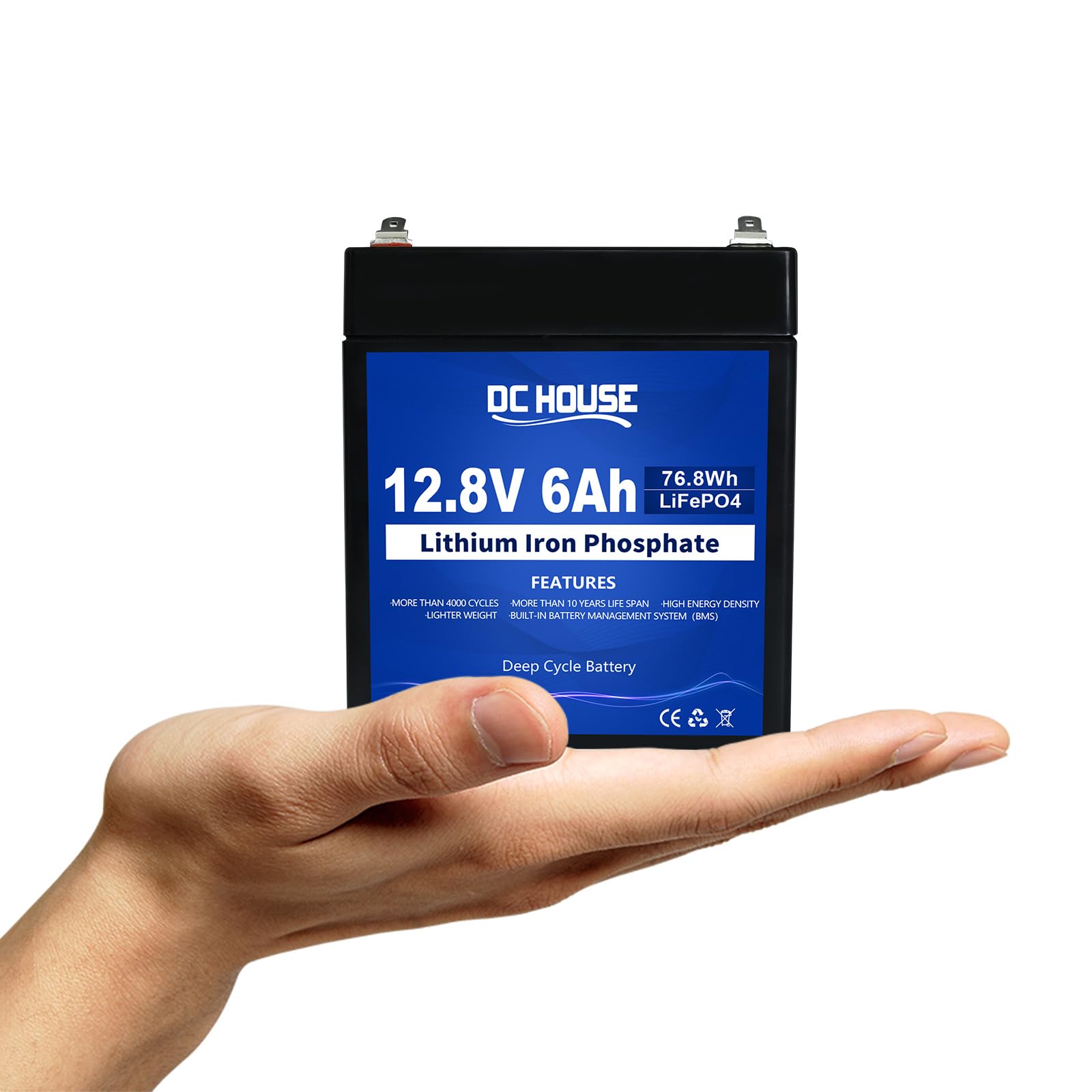 DCHOUSE 12V 6Ah LiFePO4 Deep Cycle Lithium Batterie, 3000+ Zyklen Lithium-Eisen-Phosphat Eingebautes BMS, wiederaufladbare Batterie für UPS, Beleuchtung, Power Wheels, Fish Finder und RV DCHOUSE 12V 6Ah LiFePO4 Deep Cycle Lithium Batterie, 3000+ Zyklen Lithium-Eisen-Phosphat Eingebautes BMS, wiederaufladbare Batterie für UPS, Beleuchtung, Power Wheels, Fish Finder und RV von DCHOUSE
