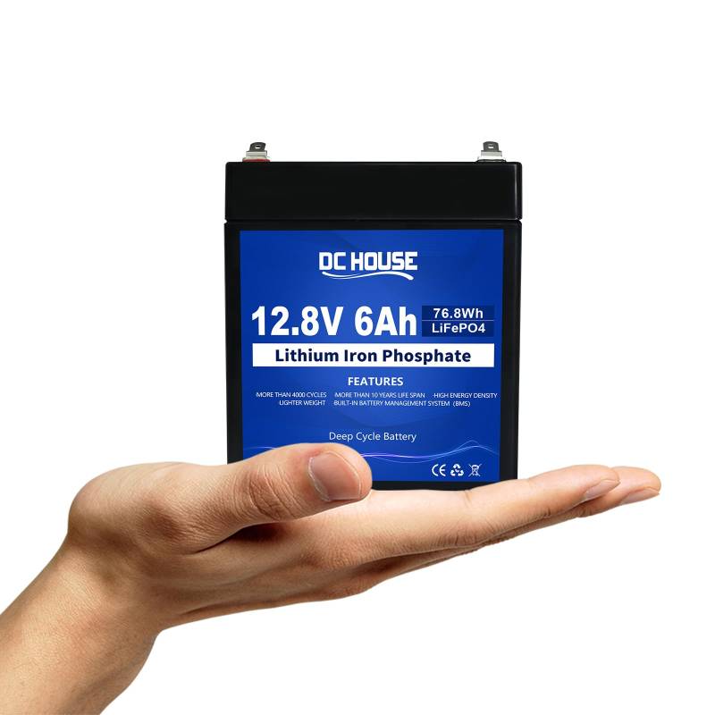 DCHOUSE 12V 6Ah LiFePO4 Deep Cycle Lithium Batterie, 3000+ Zyklen Lithium-Eisen-Phosphat Eingebautes BMS, wiederaufladbare Batterie für UPS, Beleuchtung, Power Wheels, Fish Finder und RV von DCHOUSE