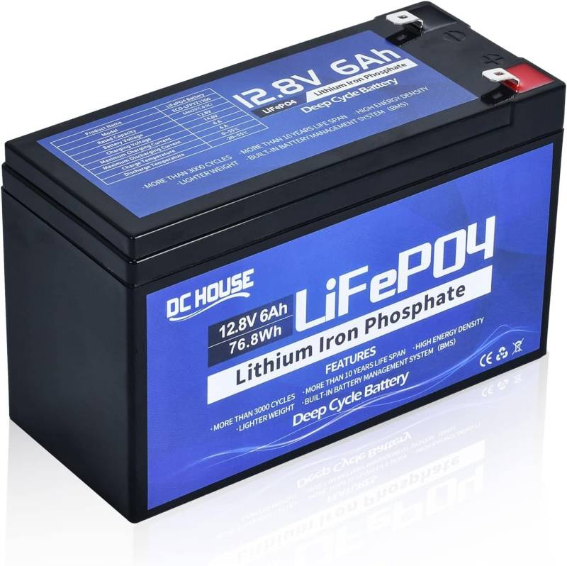 DCHOUSE 12V 6Ah Lithium Batterie, wiederaufladbare LiFePO4 Batterie mit 3000+ Mal tiefen Zyklen und BMS-Schutz für Fischfinder, Power Wheels, Roller, Licht, Kinderauto, UPS von DCHOUSE