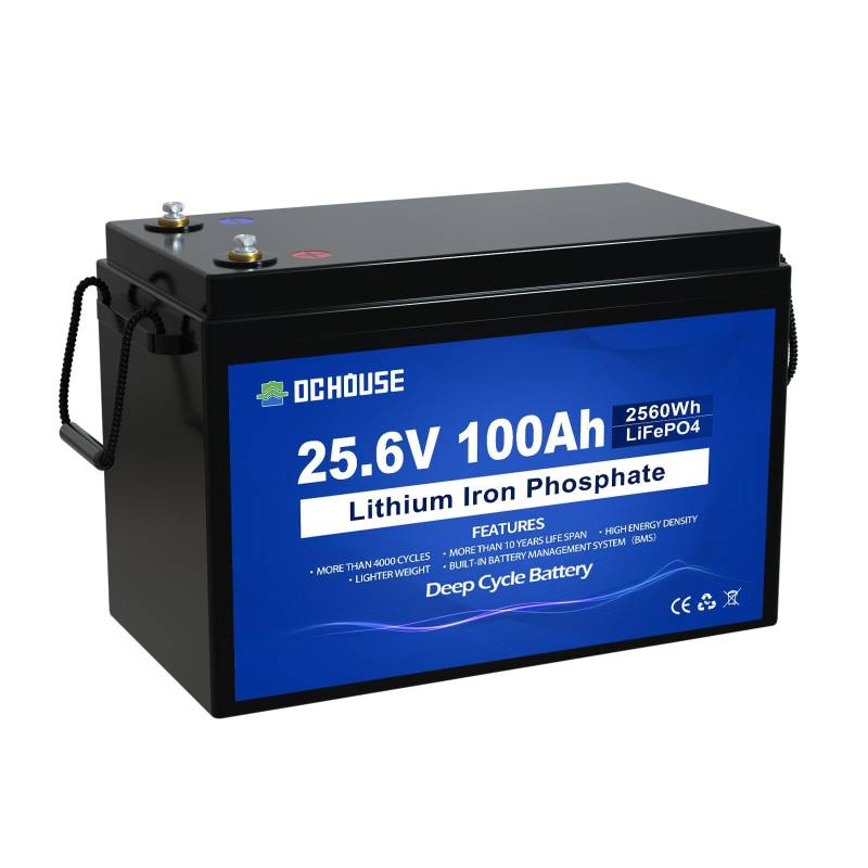 DCHOUSE 24V 100Ah LiFePO4-Lithiumbatterie, wiederaufladbar mit über 4000-fachen Tiefenzyklen und BMS-Schutz für Solaranlage, Wohnmobil, Boot, Haushalt, Solarpanel-Set und Camping von DCHOUSE
