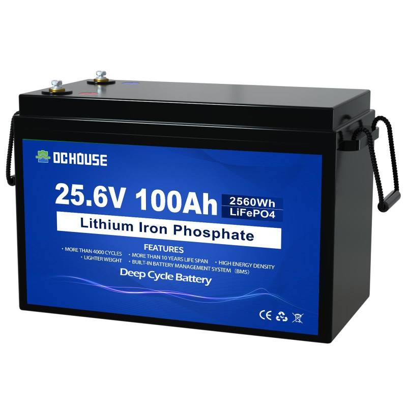 DCHOUSE 24V 100Ah LiFePO4 Lithiumbatterie, wiederaufladbar mit über 4000-fachen Tiefenzyklen und BMS-Schutz für Solaranlage, Wohnmobil, Boot, Haushalt, Solarpanel-Set und Camping von DCHOUSE