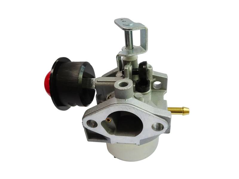 Vergaser für Loncin LC1P56F Motor, geeignet für Dayee DG350 Progreen PY16C von DCSPARES