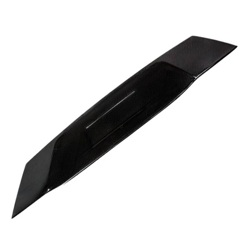 DDGHAE Heckstoßstange kompatibel mit Ferrari California 2009 2010 2011 2012 2013–2014 (JSKFRCN09008), Rev Style Carbonfaser-Nummernschildrahmen hinten von DDGHAE
