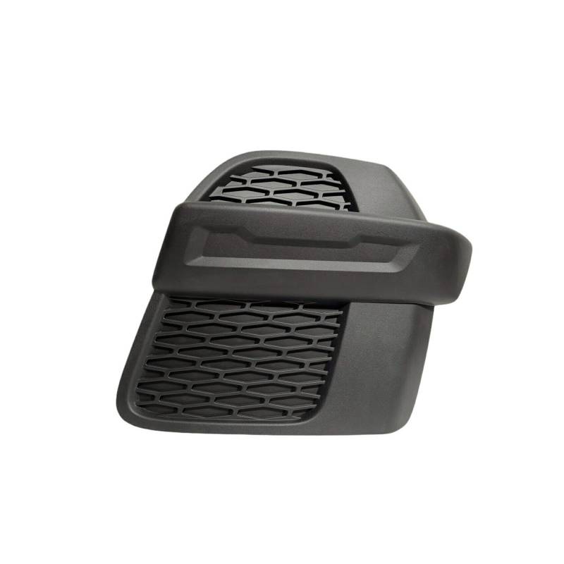 DDGHAE Kühlergrill kompatibel mit Land Rover Evoque L538 2012–2018. Nebelscheinwerferabdeckung, Stoßstangen-Nebelscheinwerfergitter(Left) von DDGHAE