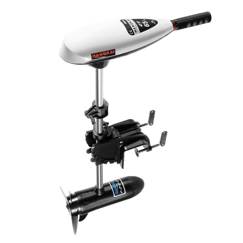 Aussenborder Elektromotor 12V Elektrischer Bootsmotor 660W Elektro Außenbordmotor für Boote, Tragfähigkeit bis 600 kg von DDZcozy
