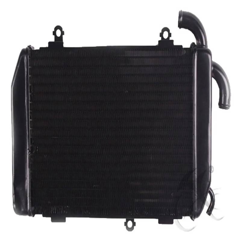 Motorrad-Kühler links oder rechts for Gold Wing GL1800 2006–2017 2008 2009 2010 2011 2012 2013 2014 2015 16(Right Side) von DEJIKOKU