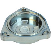 Element, CR Pumpe DENSO 294184-0170 von Denso