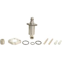 Element, Common-Rail Pumpe DENSO DCRS301380 von Denso