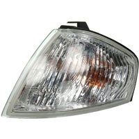 Blinker DEPO 216-1544L-AE Links von Depo