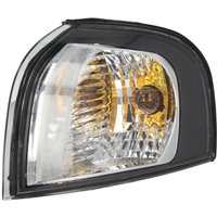 Blinker DEPO 773-1514L-AE2 Links von Depo