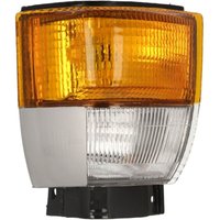 Blinkleuchte DEPO 215-1564R-UE Rechts von Depo