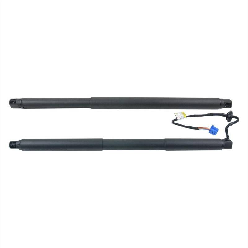 GasdruckdäMpfer Gasfeder Paar Gasfeder Kofferraum Heckklappendämpfer L+R 1668900430 2008153 Für Mercedes M-KLASSE W166 ML 63 Für AMG von DFOF G