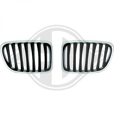 Diederichs Kühlergitter [Hersteller-Nr. 1265440] für BMW von DIEDERICHS