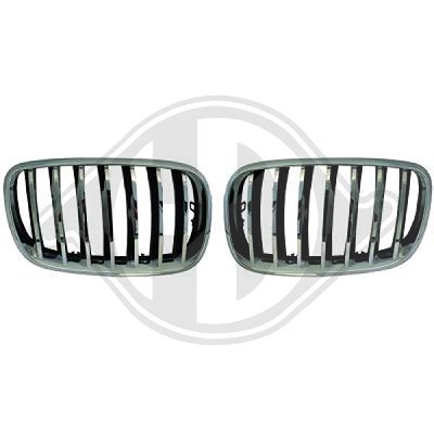 Diederichs Kühlergitter [Hersteller-Nr. 1291240] für BMW von DIEDERICHS