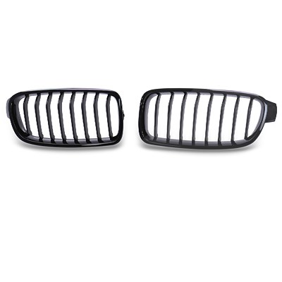 Diederichs Kühlergitter [Hersteller-Nr. 1217340] für BMW von DIEDERICHS