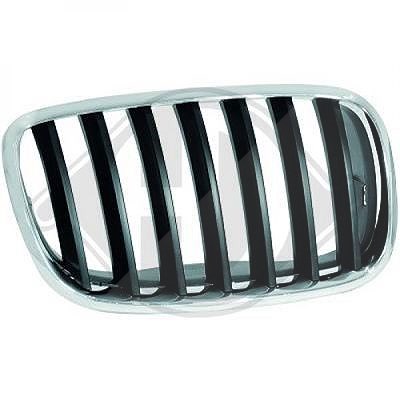 Diederichs Kühlergitter [Hersteller-Nr. 1291048] für BMW von DIEDERICHS