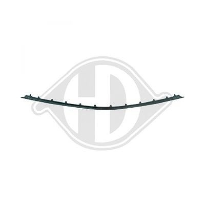 Diederichs Zier-/Schutzleiste, Kühlergitter [Hersteller-Nr. 1615161] für Mercedes-Benz von DIEDERICHS