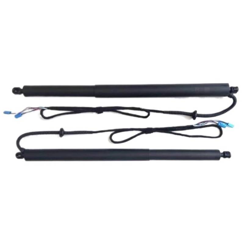 Für BYD Für Han 2020~2024 Auto Elektrische Heckklappe Heckklappe Strut Fahrzeug Power Hinten Tür Hebe System Kit Stamm Gasdruckdämpfer Heckklappe(with Foot Sensor) von DIINJ