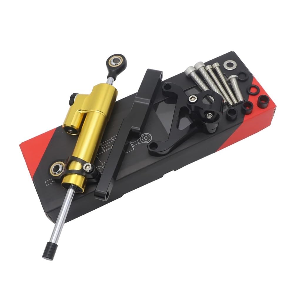 DINGYIG Für CB1000R Für CB 1000R 2008-2016 Zubehör Lenkungsdämpfer Stabilisator Stoßdämpfer Richtung Halterung Stabilisator(Color 01) von DINGYIG