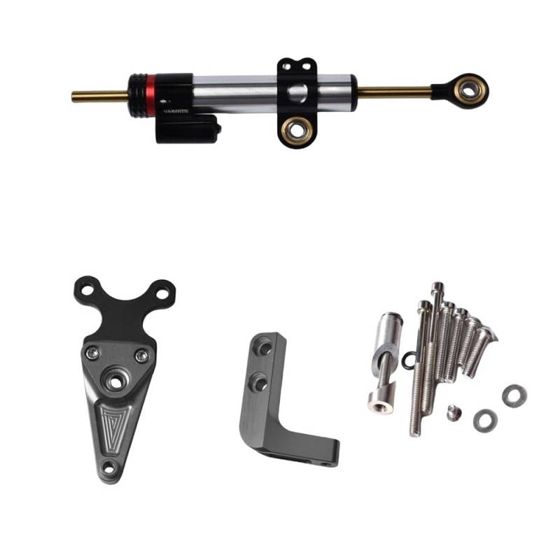 DINGYIG Für CBR650R Für CBR 650R 2019-2024 Motorrad Zubehör Lenkung Stabilisieren Dämpfer Halterung Stabilisator(Color-08) von DINGYIG