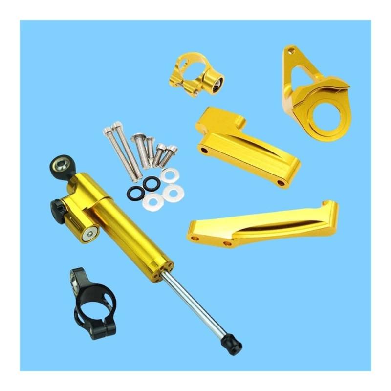 DINGYIG Für GSX1300R Für Hayabusa 1300 1998 1999 2000-2019 Motorrad Lenkung Stabilisator Dämpfer Montage Halterung Kit Stabilisator(Damper n Bracket E) von DINGYIG