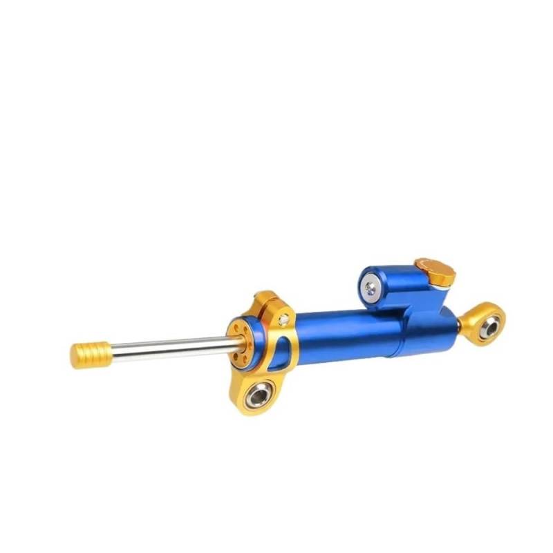 DINGYIG Für MS4R FÜR MS4 R FÜR Monster 2002-2007 + Einstellbare Motorräder Lenkung Stabilisieren Dämpfer Halterung Mount Kit Stabilisator(Color-D) von DINGYIG