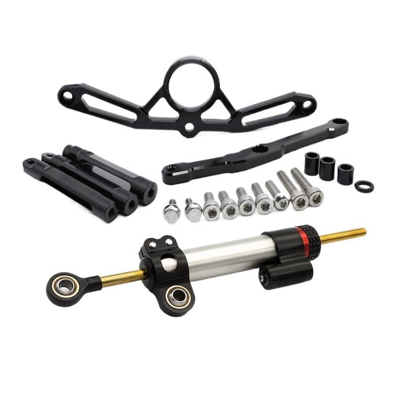 DINGYIG Für MT-09 Für MT09 Für MT 09 2021 2022 2023 Motorrad Stabilisator Lenkung Dämpfer Halterung Montage Kit Stabilisator(Damper n Bracket B) von DINGYIG