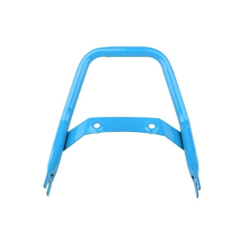 DINGYIG Für Monkey 125 2018-2024 Motorrad Hinten Passagier Armlehne Sozius Sitz Haltegriff Bar Schiene Haltegriff Beifahrer(Color4) von DINGYIG