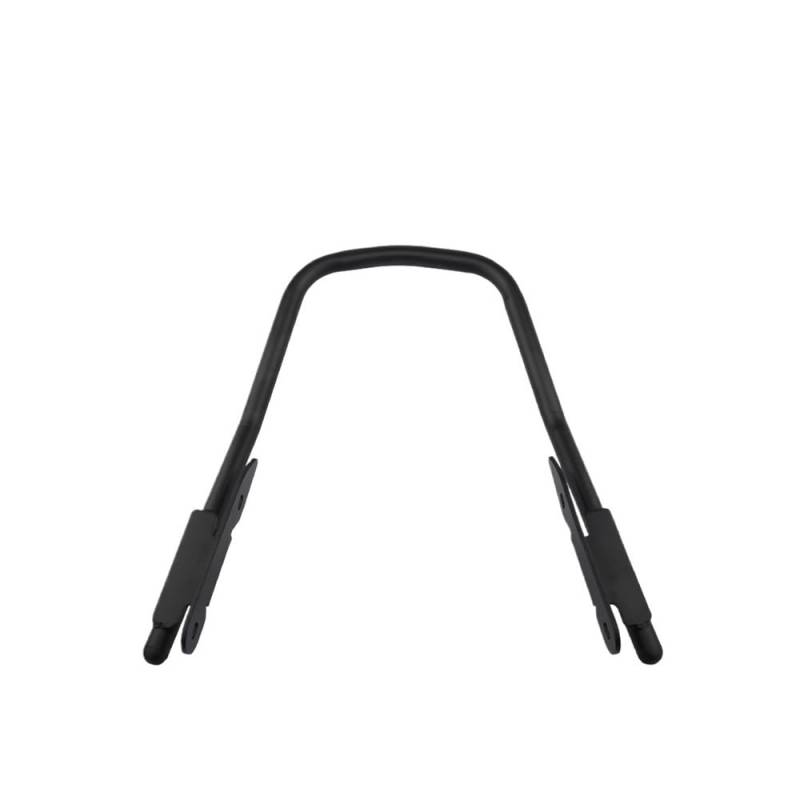 DINGYIG Für Trident 660 2021-2024 Motorrad Passagier Rear Seat Haltegriff Griffe Sitz Armlehne Griff Zubehör Haltegriff Beifahrer von DINGYIG