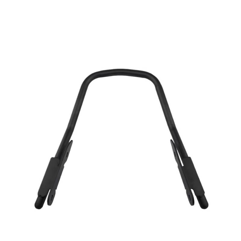 DINGYIG Für Trident 660 2021-2024 Motorrad Passagier Rear Seat Haltegriff Griffe Sitz Armlehne Griff Zubehör Haltegriff Beifahrer von DINGYIG