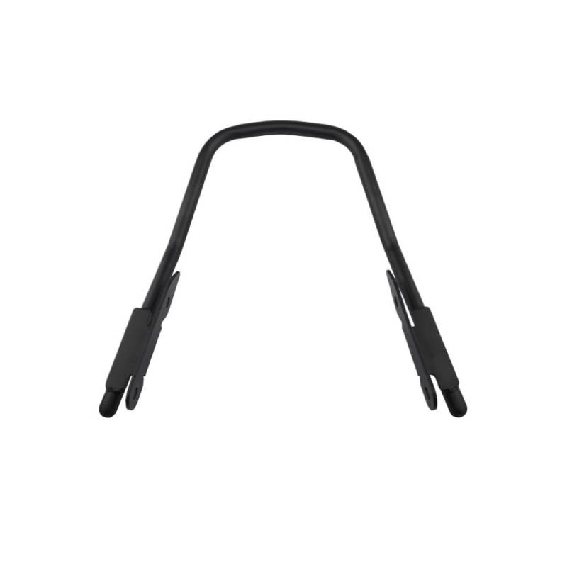 DINGYIG Für Trident 660 Für Trident660 2021-2024 Motorrad Rücksitz Haltegriff Griffe Sitz Armlehne Griff Gepäck Rack Haltegriff Beifahrer von DINGYIG