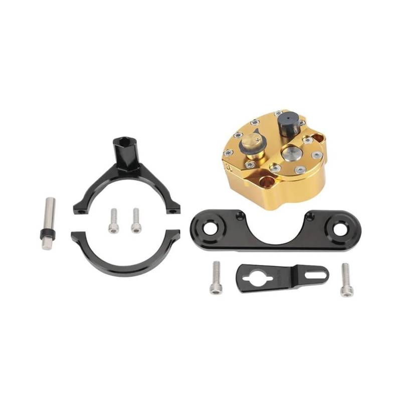 DINGYIG Für Tuareg 660 2021-2024 Lenkung Dämpfer Stabilisator Motorrad Absorber Umgekehrt Sichere Lenker Riser Halterung Stabilisator(Color 1) von DINGYIG