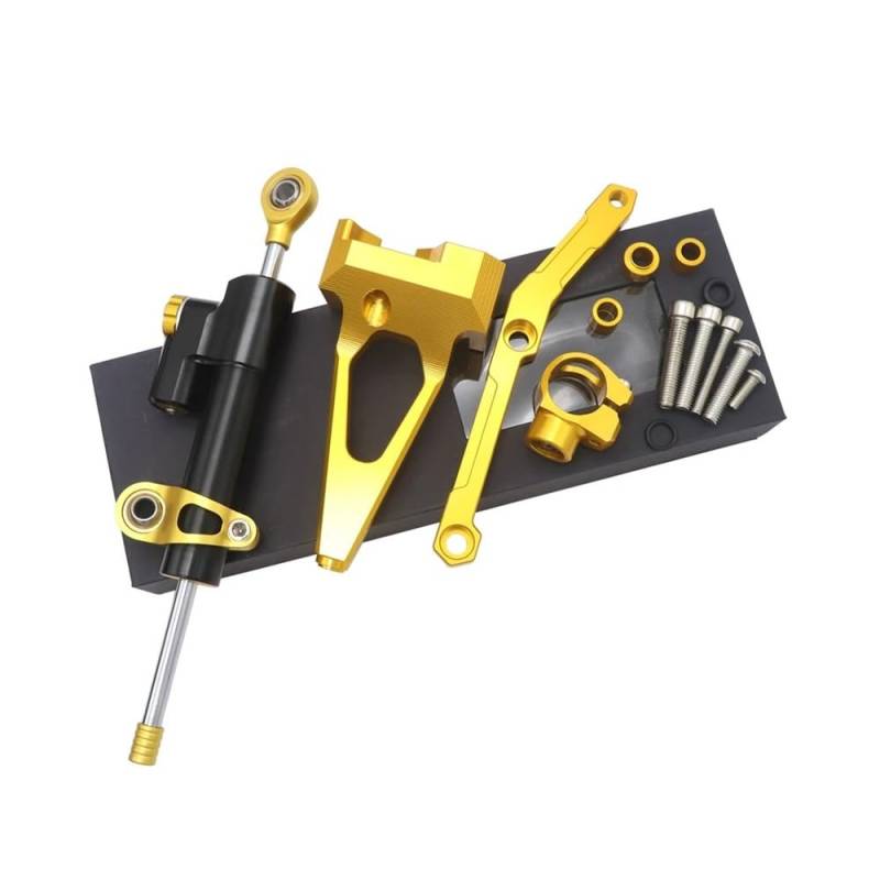 DINGYIG Lenkung Stabilisieren Dämpfer Halterung Montieren Motorrad Motorrad Für MT-09 FÜR MT09 FÜR FZ09 FÜR FZ-09 2013-2020 Stabilisator(Color-J) von DINGYIG