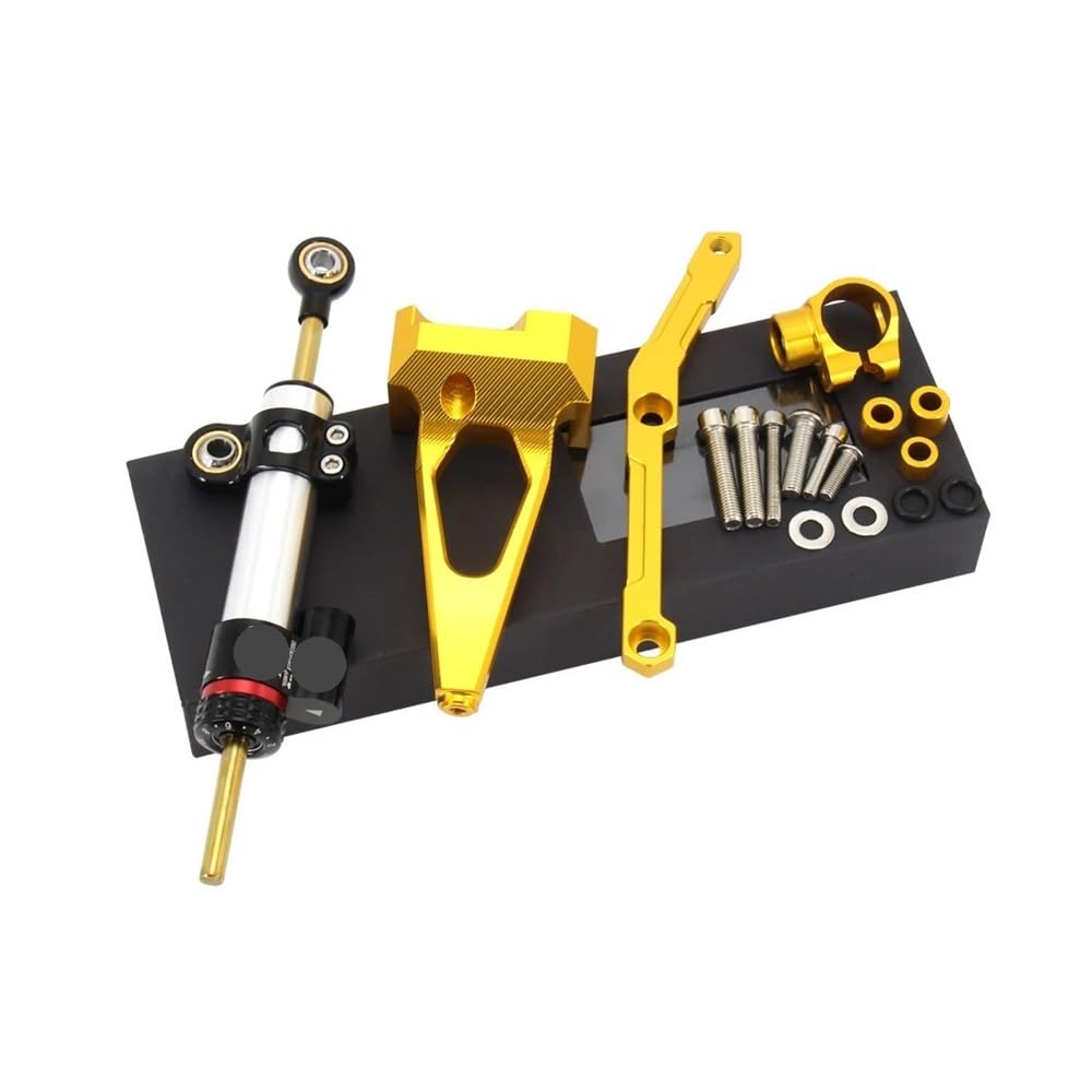 DINGYIG Motorrad Lenkung Stabilisieren Dämpfer Halterung Für MT-09 FÜR MT09 FÜR FZ09 FÜR FZ-09 FÜR MT-09 SP Stabilisator(Color-H) von DINGYIG