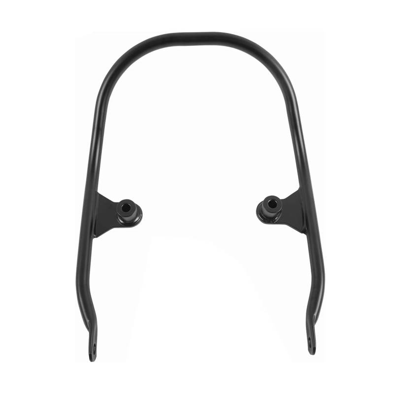DINGYIG Motorrad Passagier Hinten Armlehne Schiene Für Z650RS 2022-2023 Haltegriff Beifahrer von DINGYIG