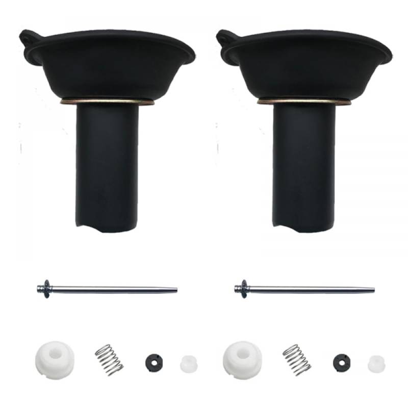 Universal Carburetor Reparaturkit für V-Dragstar XVS650 umfasst Schwimmermembran-Kliregrass-Drosselklappenschraubeteile Teile(2 Plunger) von DIWUCXCA