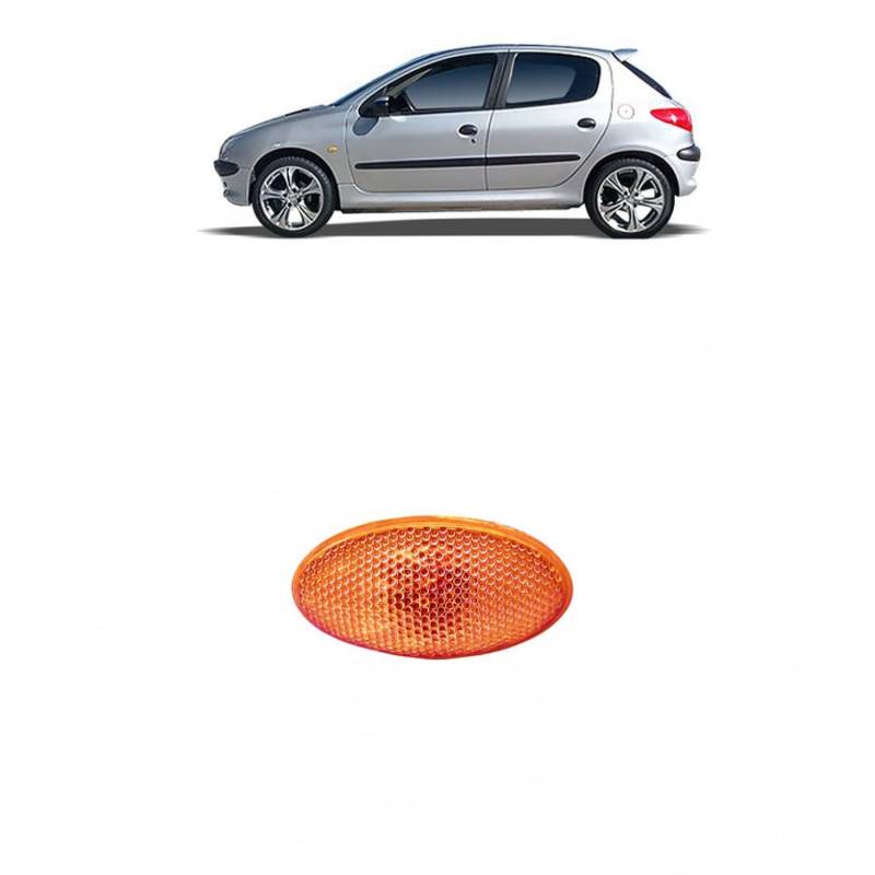 DM Autoteile Seitenblinker Blinker vorne links rechts kompatibel für Peugeot 206 140256 von DM Autoteile