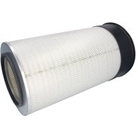 Luftfilter DONALDSON P181078 von Donaldson Off