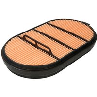 Sekundärluftfilter DONALDSON P601560 Sekundärluftfilter DONALDSON P601560 von Donaldson Off